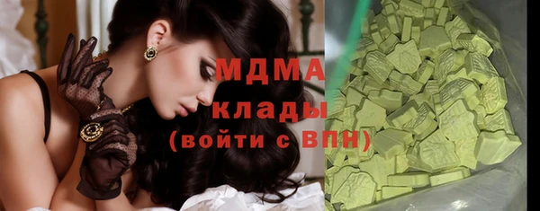 индика Алексин