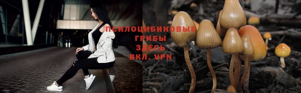 индика Алексин