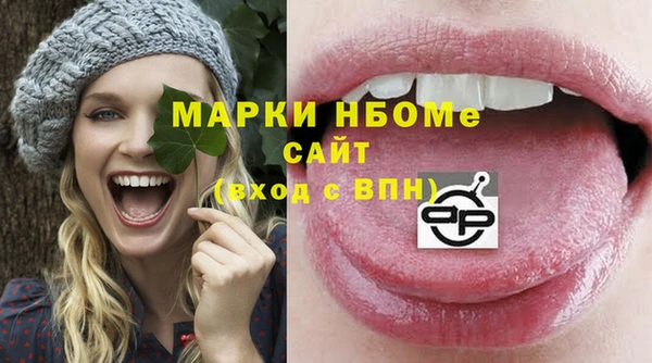 индика Алексин