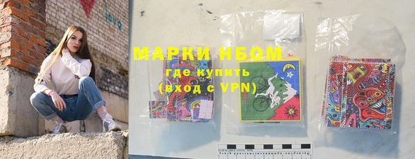 индика Алексин