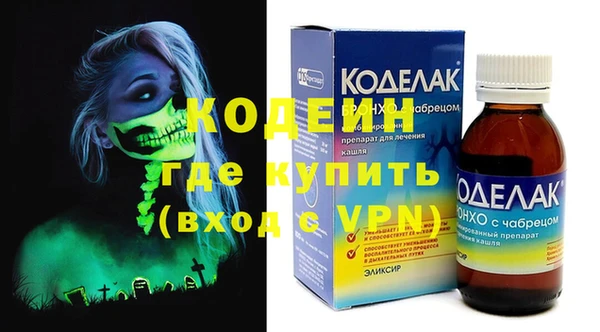 индика Алексин