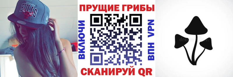 Галлюциногенные грибы мухоморы Новоузенск