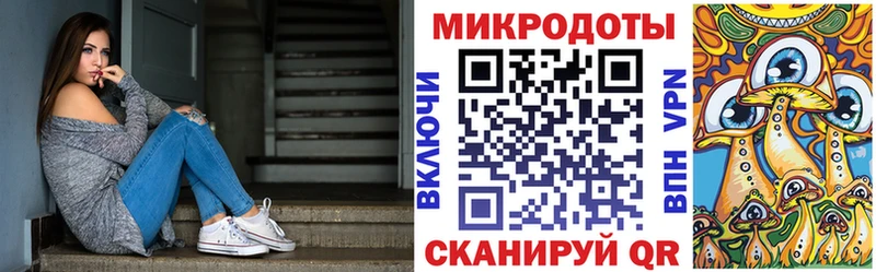 площадка формула  сколько стоит  Новоузенск  Псилоцибиновые грибы Psilocybe 